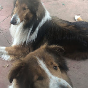 Meet your Posher, Cracker